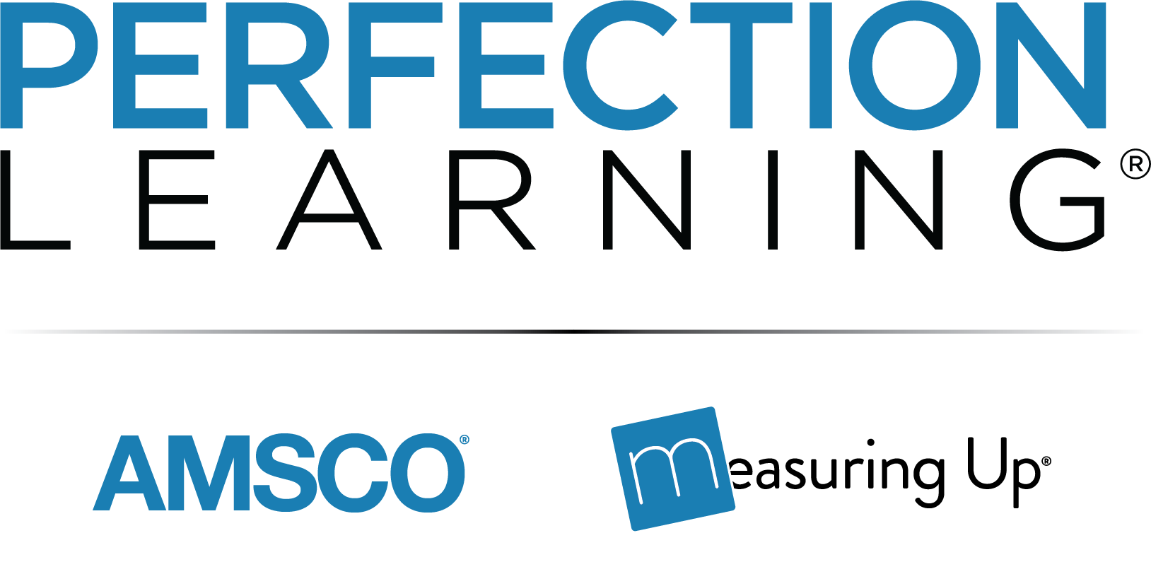 Perfection Learning